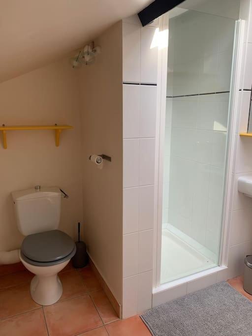 Maison 3 Chambres, Piscine, 2 Hectares De Jardin La Sauvetat-du-Dropt 외부 사진